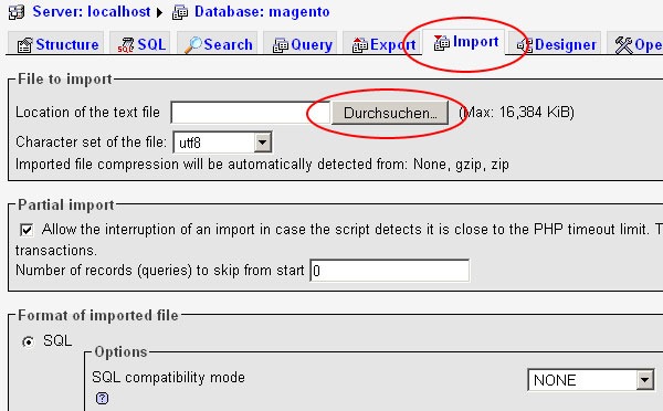 insert sample data in database