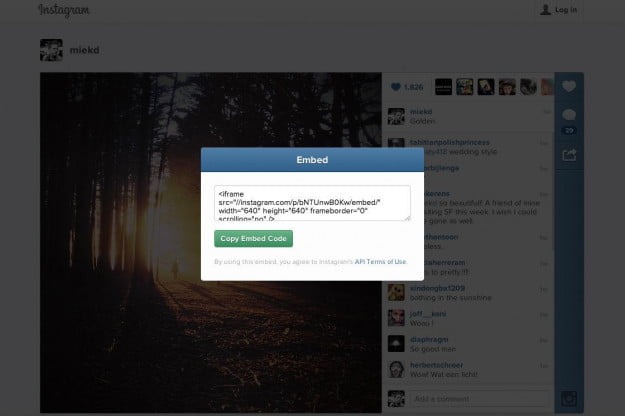 use instagram embed link on your website