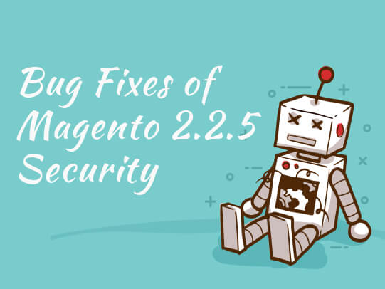 Bug Fixes of Magento 2.2.5 security