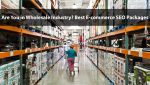 Are you in Wholesale Industry? Best eCommerce SEO Packages