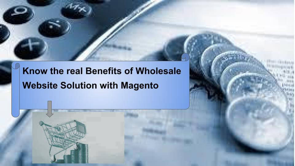 The real benefits of Wholesale website solution with Magento