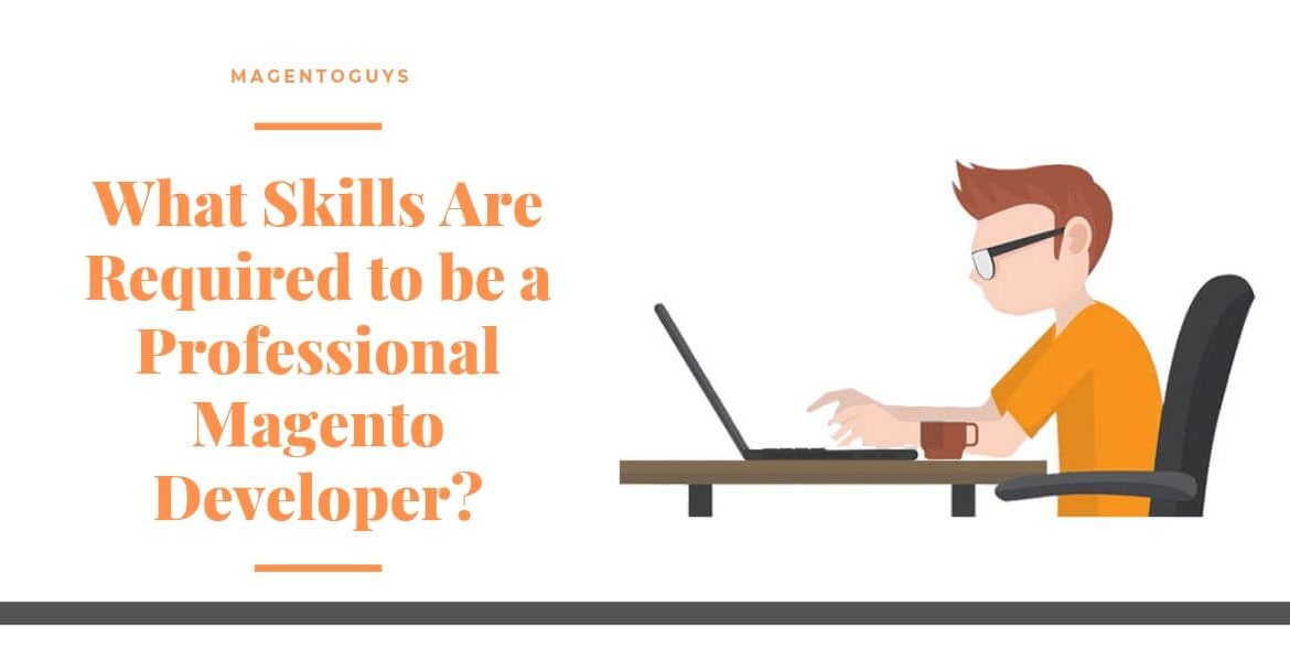 What skills are required to be a professional Magento Developer_