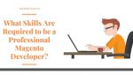 What skills are required to be a professional Magento Developer_